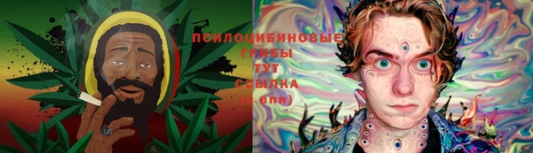 гашик Алексеевка