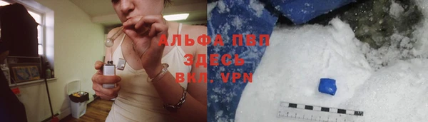 гашик Алексеевка