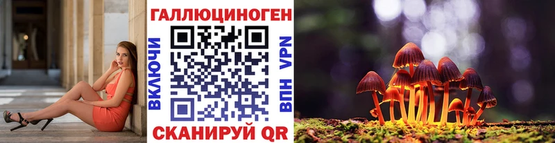 Псилоцибиновые грибы Cubensis где купить наркоту Алексеевка