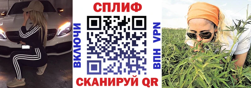 Шишки марихуана индика  купить  сайты  Алексеевка 